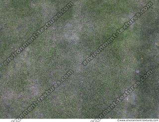 Photo Textures of Ground Grass